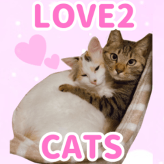 [LINEスタンプ] ニャオチビ 1