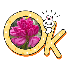 [LINEスタンプ] お寿司大好きお寿司