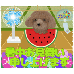 [LINEスタンプ] 【夏】癒しのわんこ大集合