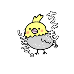 [LINEスタンプ] オカメインコのちょも