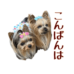 [LINEスタンプ] トッポとアポロの日常1