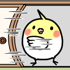 [LINEスタンプ] オカメインコのちきんちゃん☆10