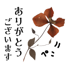 [LINEスタンプ] 花の優しい敬語スタンプ