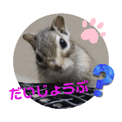 [LINEスタンプ] みんなと一緒 24