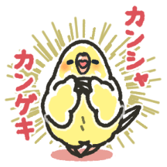 [LINEスタンプ] セキセイインコスタンプ 黄色