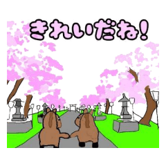 [LINEスタンプ] サムライNOMAちゃん（相馬観光の旅）