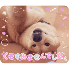 [LINEスタンプ] けんちゃんボーイ1