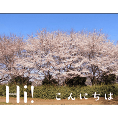 [LINEスタンプ] 風景写真でご挨拶(日本語と英語)