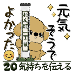 [LINEスタンプ] プードル犬 20『気持ちを伝える』