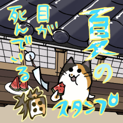 [LINEスタンプ] 夏の目が死んでいる猫