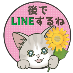 [LINEスタンプ] 元気に夏スタンプ！【仔猫のぽんにゃん】