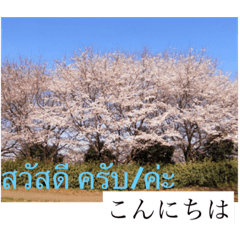 [LINEスタンプ] 風景写真でご挨拶(タイ語と日本語)