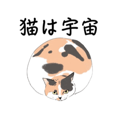 [LINEスタンプ] ニャーちゃんのイラストスタンプ(特別編)