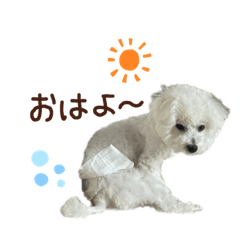 [LINEスタンプ] 【第1弾】おもちの日常