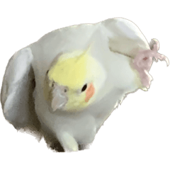 [LINEスタンプ] トントンバイバーイ