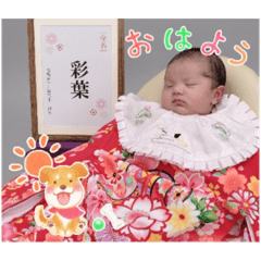[LINEスタンプ] いろはにちゃん