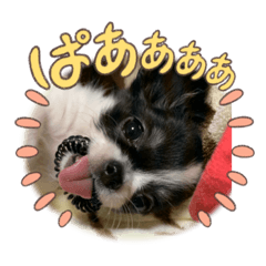 [LINEスタンプ] チロ坊1