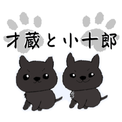 [LINEスタンプ] 【甲斐犬の才蔵と小十郎】