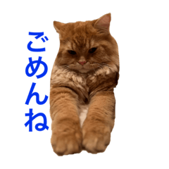 [LINEスタンプ] レオくんスタンプ挨拶1