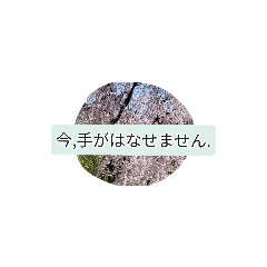 [LINEスタンプ] 月山世良員冷尼寿六マル山本はんな壱