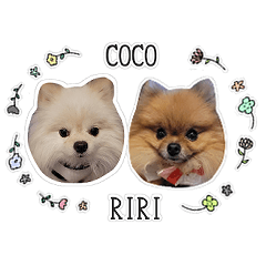 [LINEスタンプ] ここりりのすたんぷ