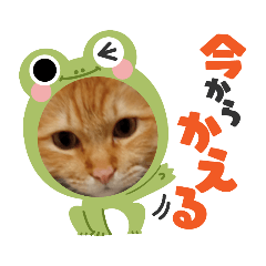 [LINEスタンプ] 臆病者のツンデレらいくん2