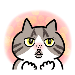 [LINEスタンプ] そばかす猫のつぐみ