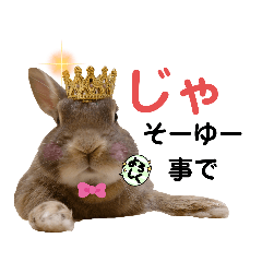 [LINEスタンプ] うさぎのうーたん☆よく使うヤツ