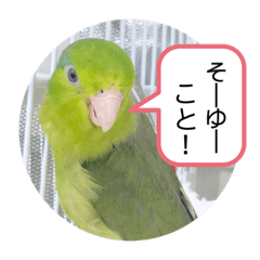 [LINEスタンプ] マメルリハ達9