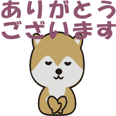 [LINEスタンプ] 柴犬ハヅキのスタンプ