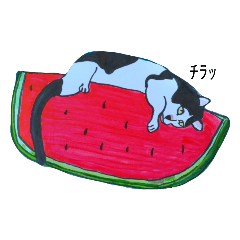 [LINEスタンプ] ぐーたら猫の夏休み