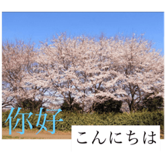 [LINEスタンプ] 風景写真でご挨拶(日本語と繁体字)
