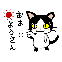 [LINEスタンプ] ハチワレ ハチちゃん