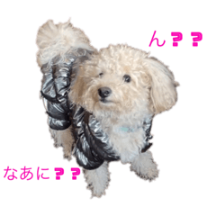 [LINEスタンプ] 夜叉丸③