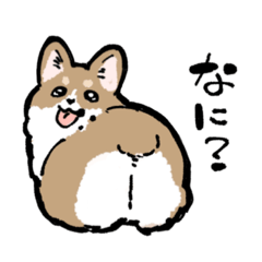 [LINEスタンプ] もふもふコーギー1