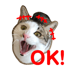 [LINEスタンプ] うちのこてつとコジロー