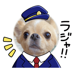 [LINEスタンプ] とらとらとらまるこ