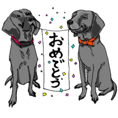 [LINEスタンプ] 黒スケ達の日常