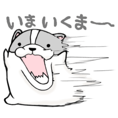 [LINEスタンプ] ぶるどっくま2