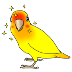 [LINEスタンプ] コザクラインコの使える基本スタンプ 2