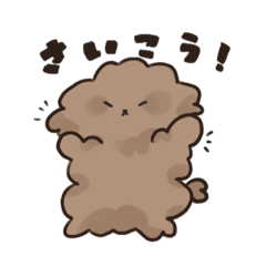 [LINEスタンプ] けだまトイプーの日常スタンプ