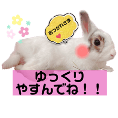 [LINEスタンプ] うさぎーず☆2