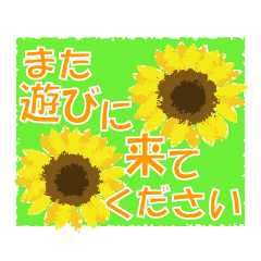 [LINEスタンプ] 夏のやさしい気持ちを伝えるスタンプ