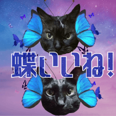 [LINEスタンプ] 飛び出す黒猫ハルとロビン[ダジャレ3]