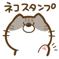 [LINEスタンプ] 僕にゃん猫