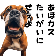 [LINEスタンプ] THE DOG（関西弁）