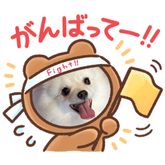 [LINEスタンプ] お転婆ナミ NO2