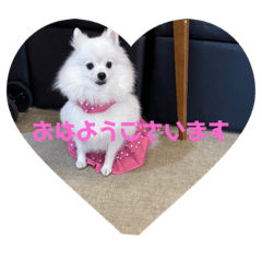[LINEスタンプ] お転婆なナミ