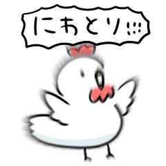 [LINEスタンプ] シンプル にわとり 日常会話