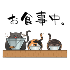 [LINEスタンプ] 我が家のねこずスタンプ